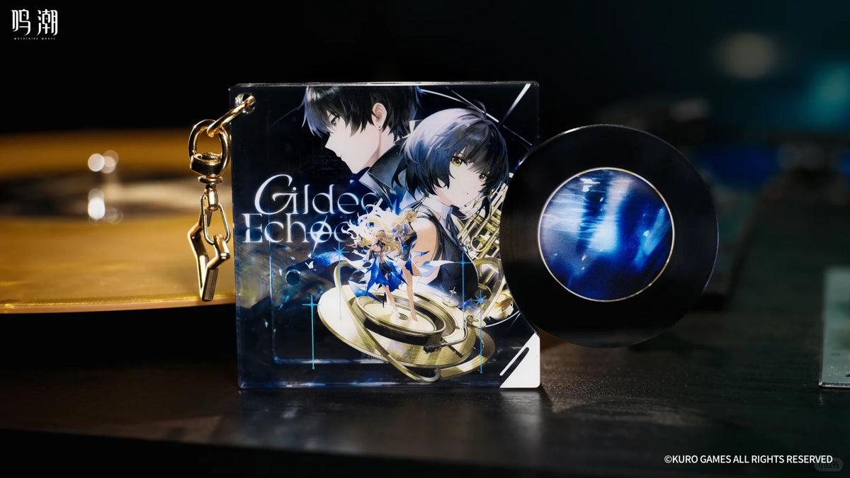 Wuthering Waves Gilded Echoes Themed Vinyl Gift Box