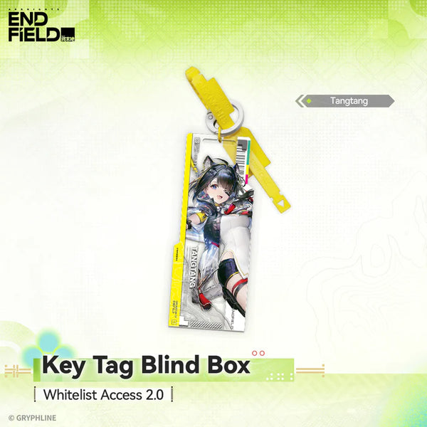 Arknights: Endfield Key Tag Blind Box - Whitelist Access 2.0