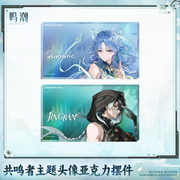 Wuthering Waves Wuthering Waves Resonator Themed Avatar Acrylic Block