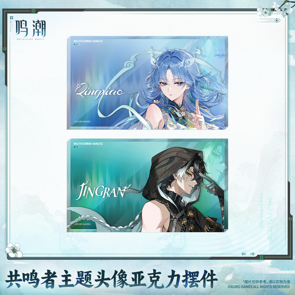 Wuthering Waves Wuthering Waves Resonator Themed Avatar Acrylic Block